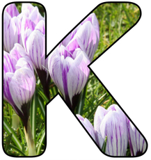 Blumenbuchstabe-K.jpg